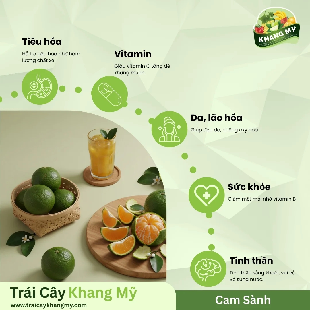 Vietnamese Green-Skinned Orange 4