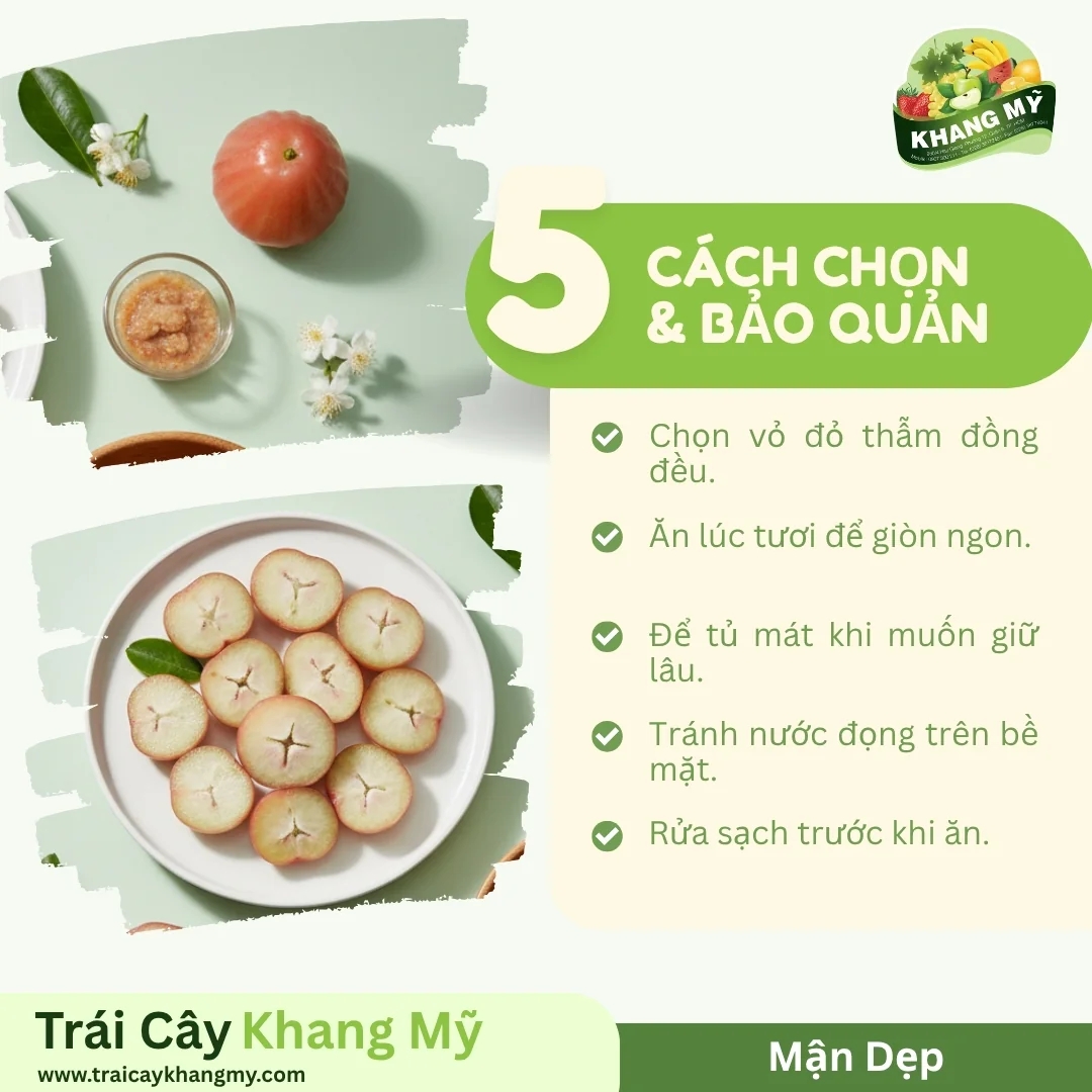 Mận Dẹp 2