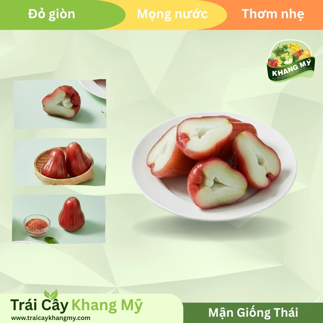 Mận Giống Thái 3