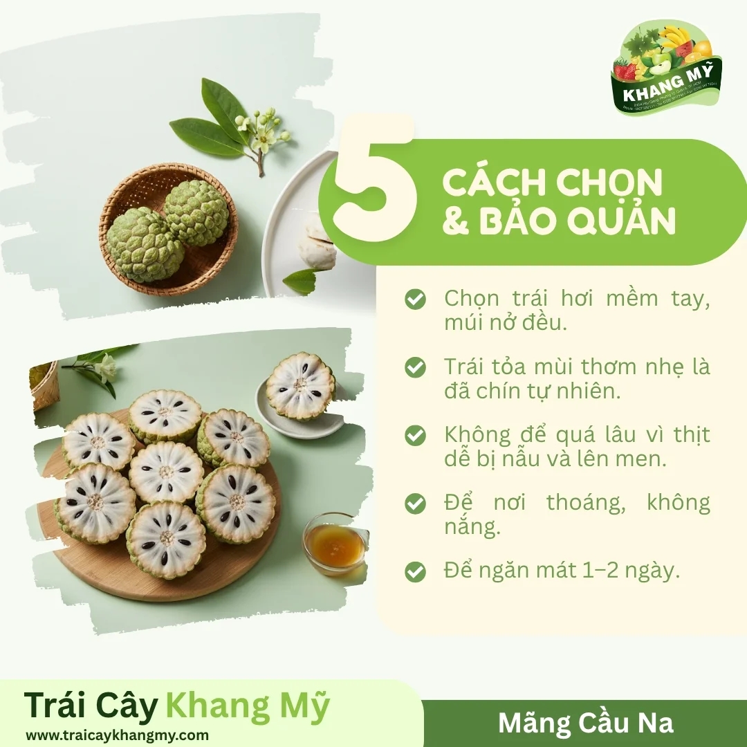 Mãng Cầu Na 2