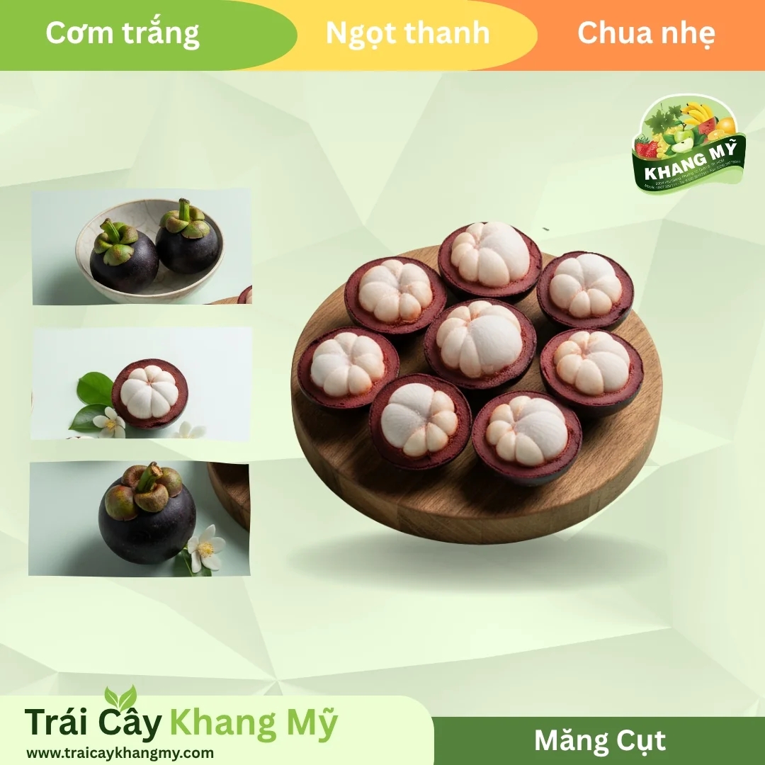 Mangosteen 3