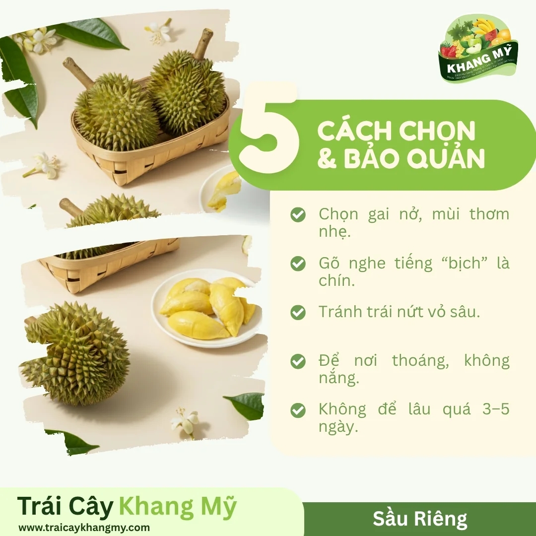 Sầu Riêng 2