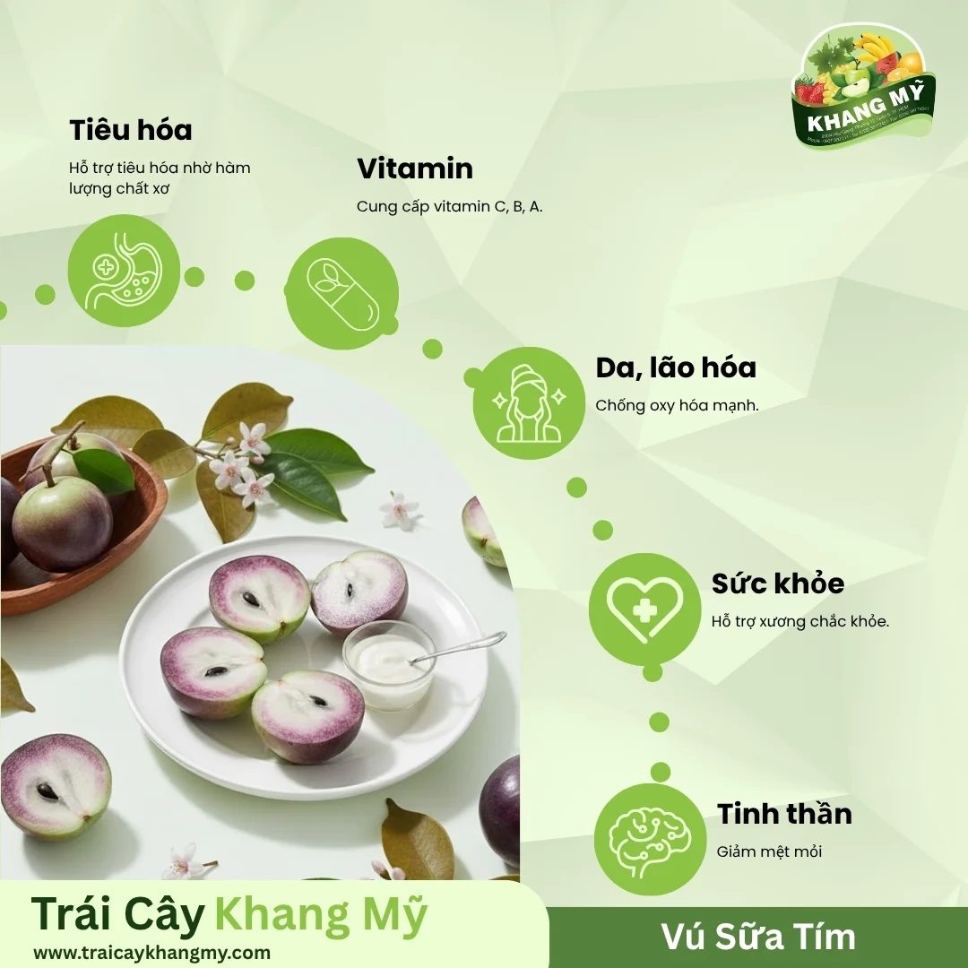 Vú Sữa Tím 4