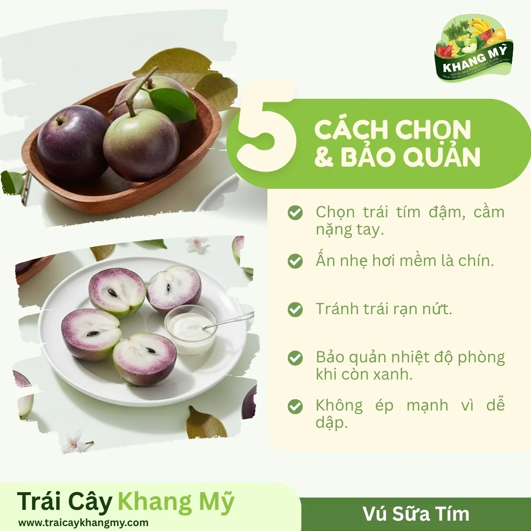 Vú Sữa Tím 2
