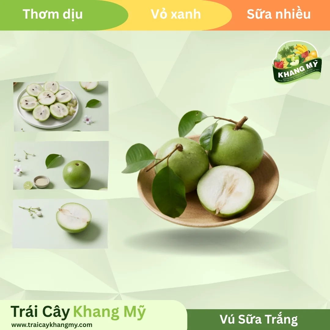 Vú Sữa Trắng 3