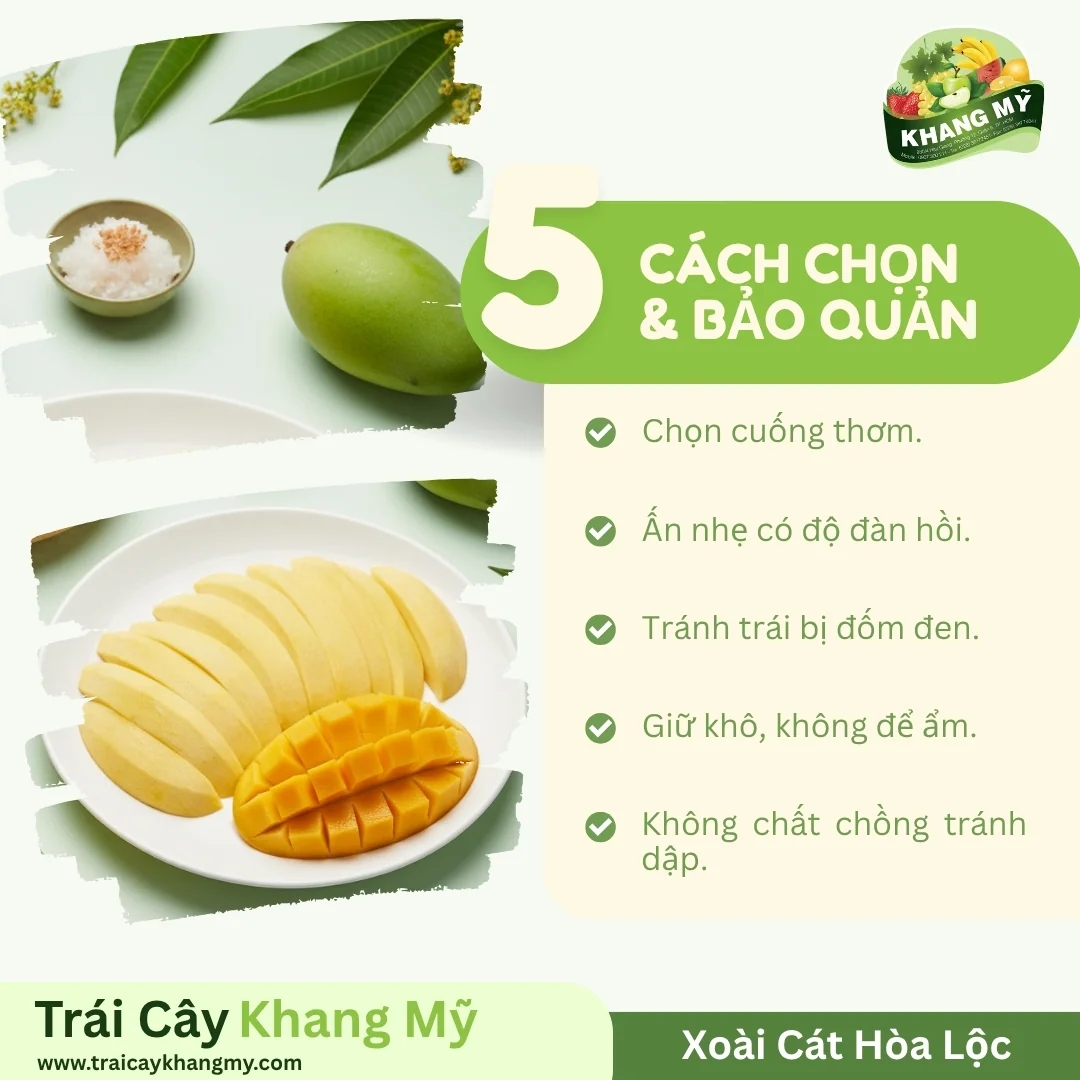 Xoài Cát Hòa Lộc 2