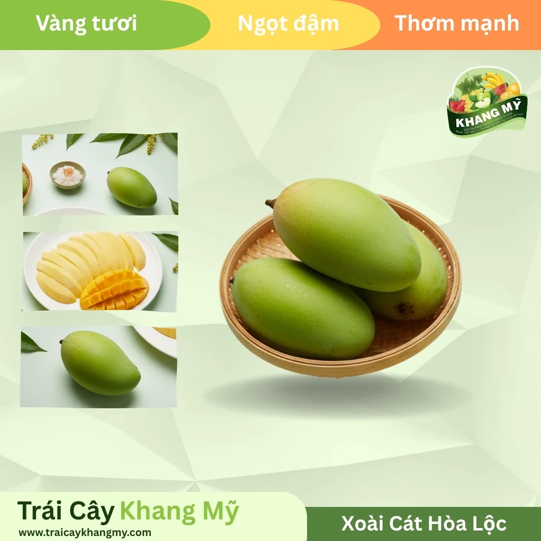 Xoài Cát Hòa Lộc 3