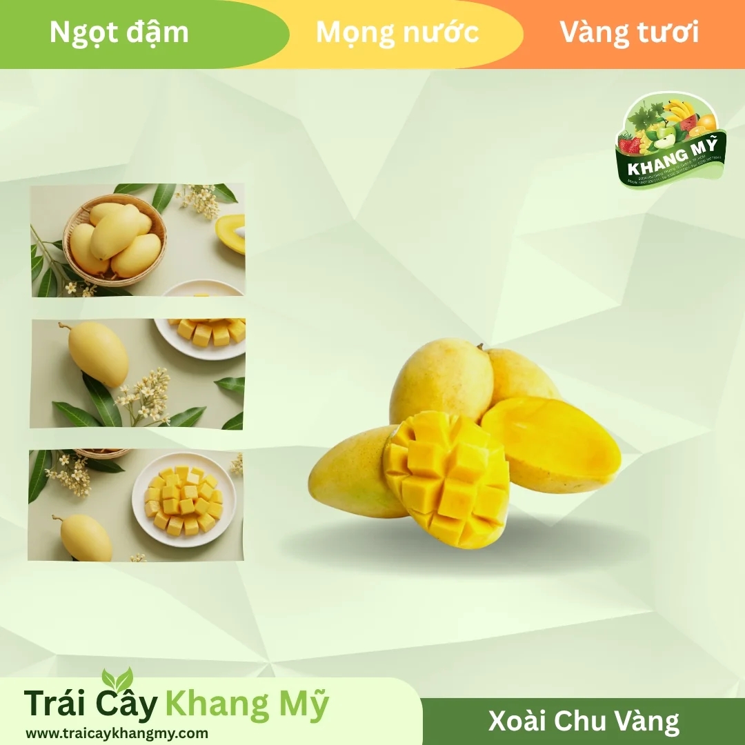 Xoài Chu Vàng 3