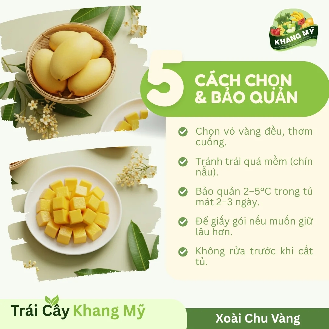Xoài Chu Vàng 2